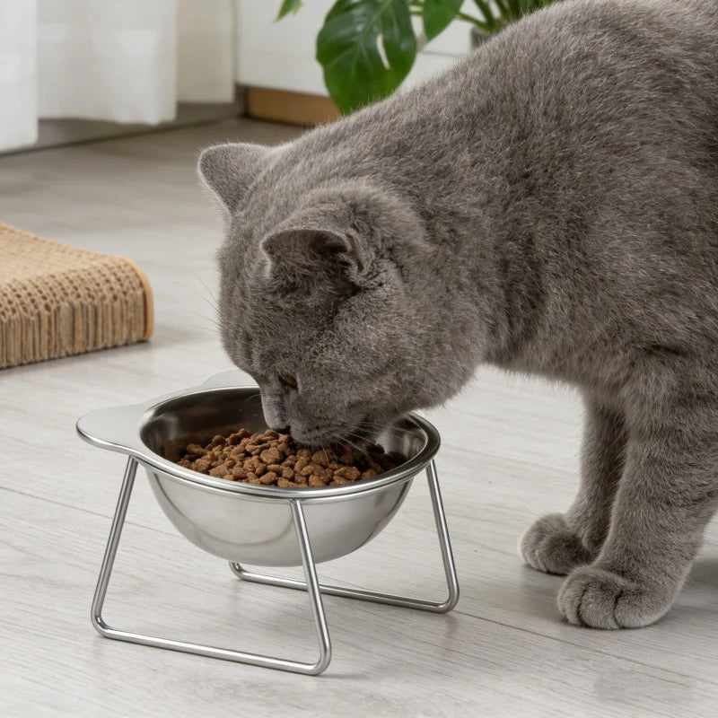 Tilted Cat Bowl Stainless Steel Cat Food Bowls with Metal Stand Food and Water Dish for Cats Kitten Puppies Feeders Cat Supplies